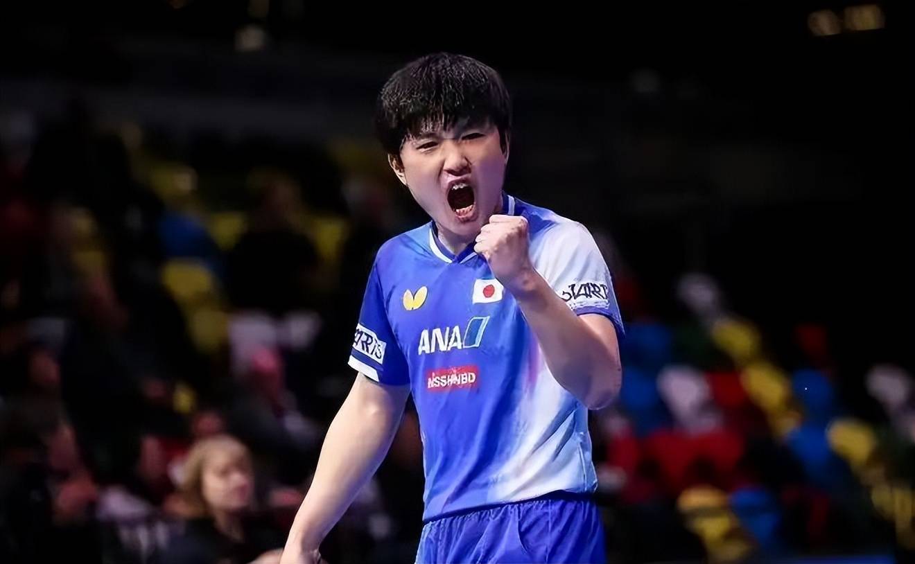 波兰队逆转奥地利队,张本智和带队取胜 波兰队逆转奥地利队,张本智和带队取胜