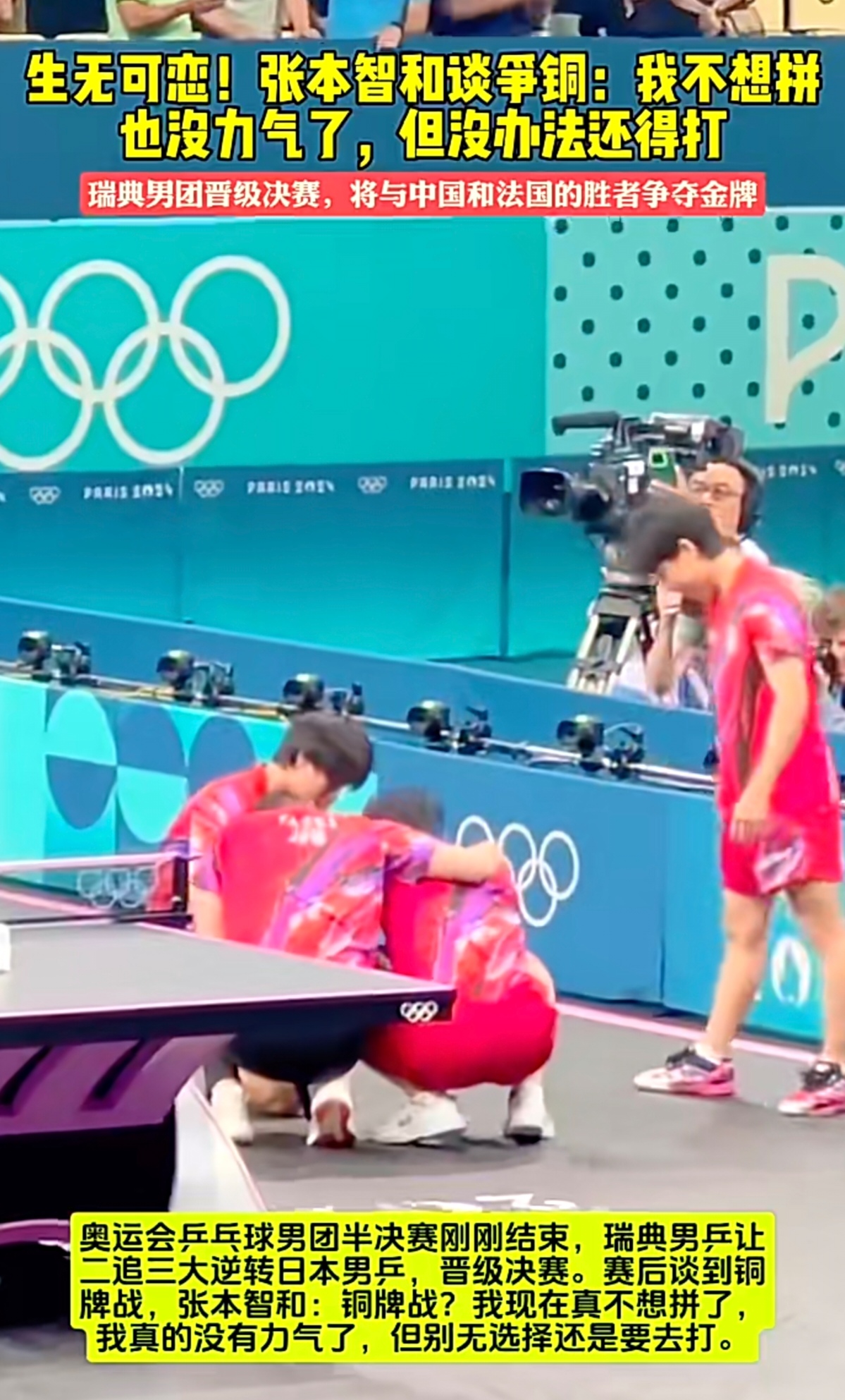 英格兰队轻取法国队,张本智和统治全场 英格兰队轻取法国队,张本智和统治全场