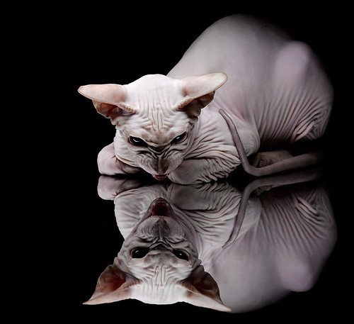 点球王幽灵附体？墨西哥若日尼奥’导演3球逆转玻利维亚