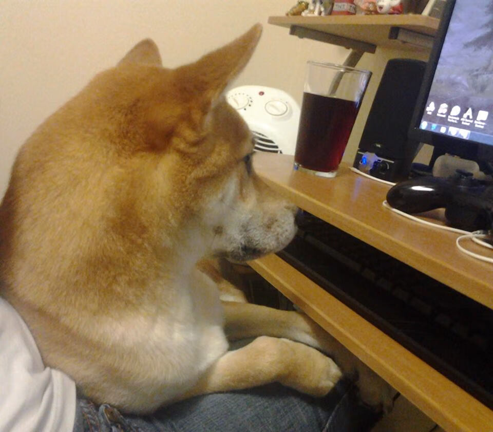 篮筐下的绿茵幽灵，当萨拉赫在NBA季后赛之夜降临