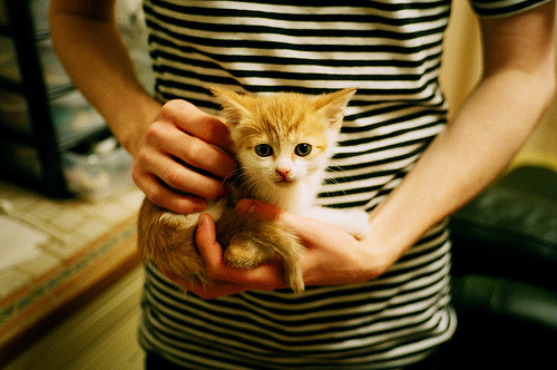 米切尔点燃自我救赎焰火，尼克斯狂飙速胜鹈鹕