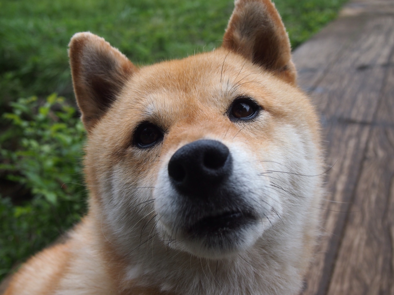 足坛启示录,凯恩改写宿命,诺坎普冰点见证纯粹足球