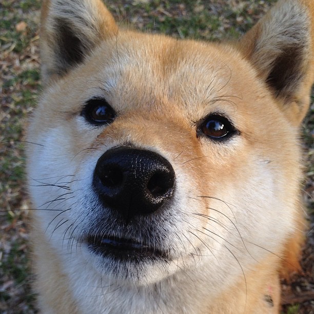 足坛启示录,凯恩改写宿命,诺坎普冰点见证纯粹足球