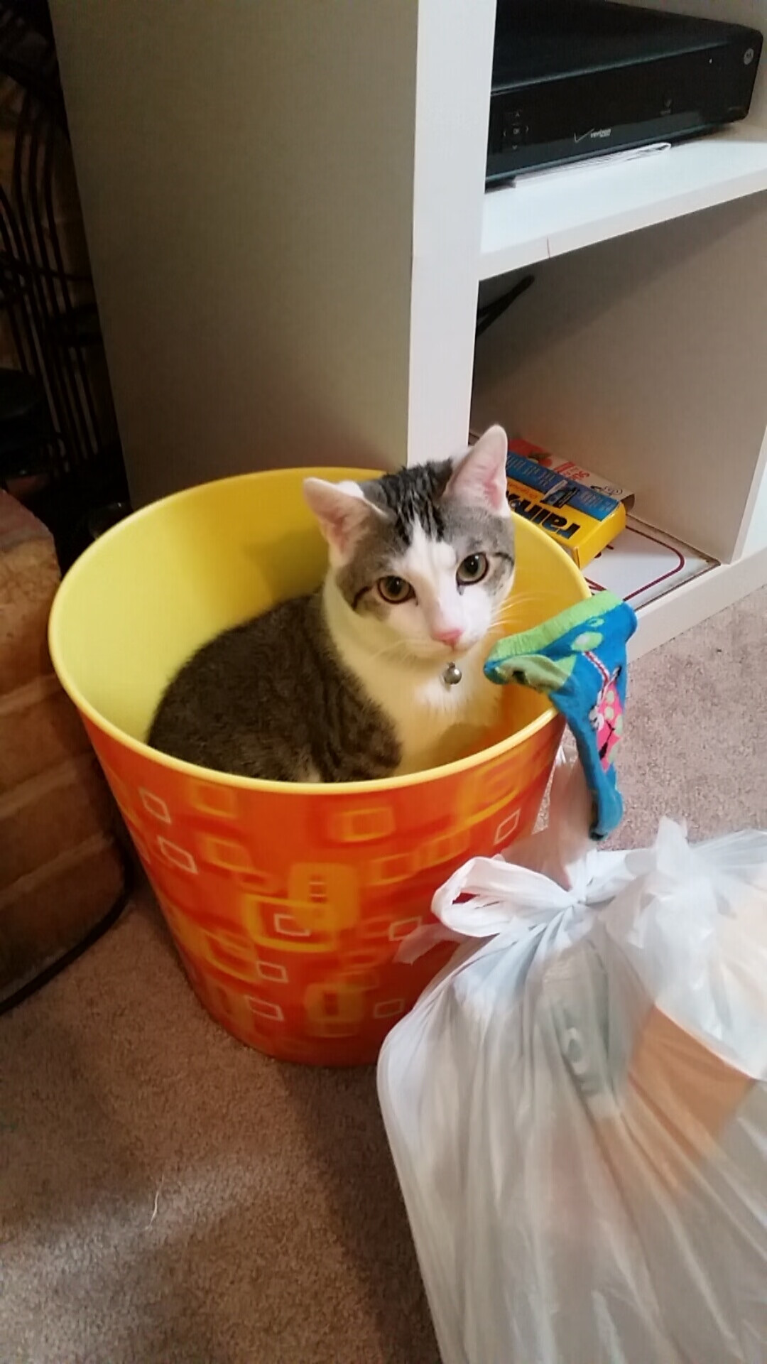 最后的哨声，当比利亚雷亚尔的橄榄球之痛，遇见曼彻斯特蓝月的锋刃