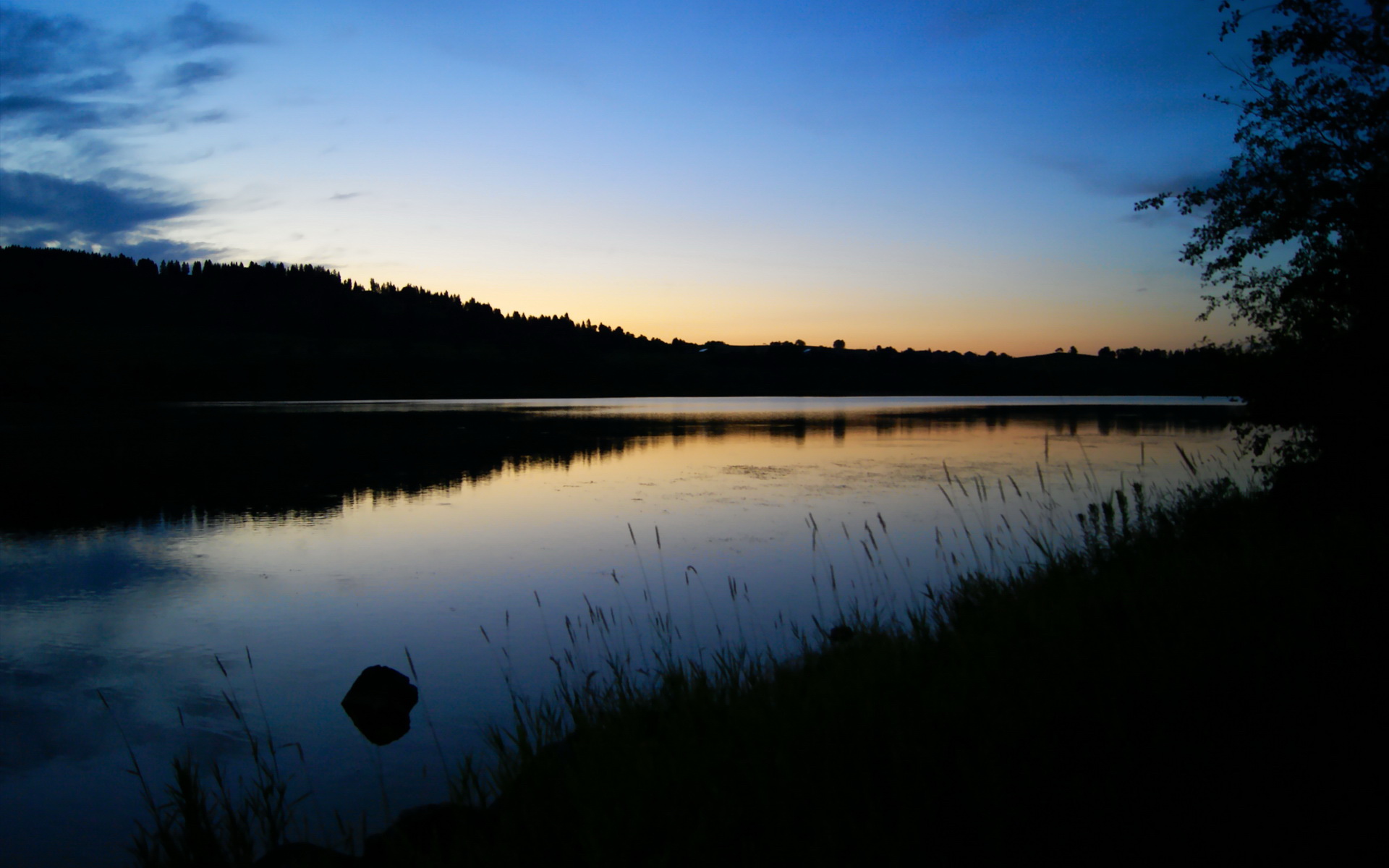 影子战争,加克波以沉默的艺术,在维也纳的轻取中完成终极接管