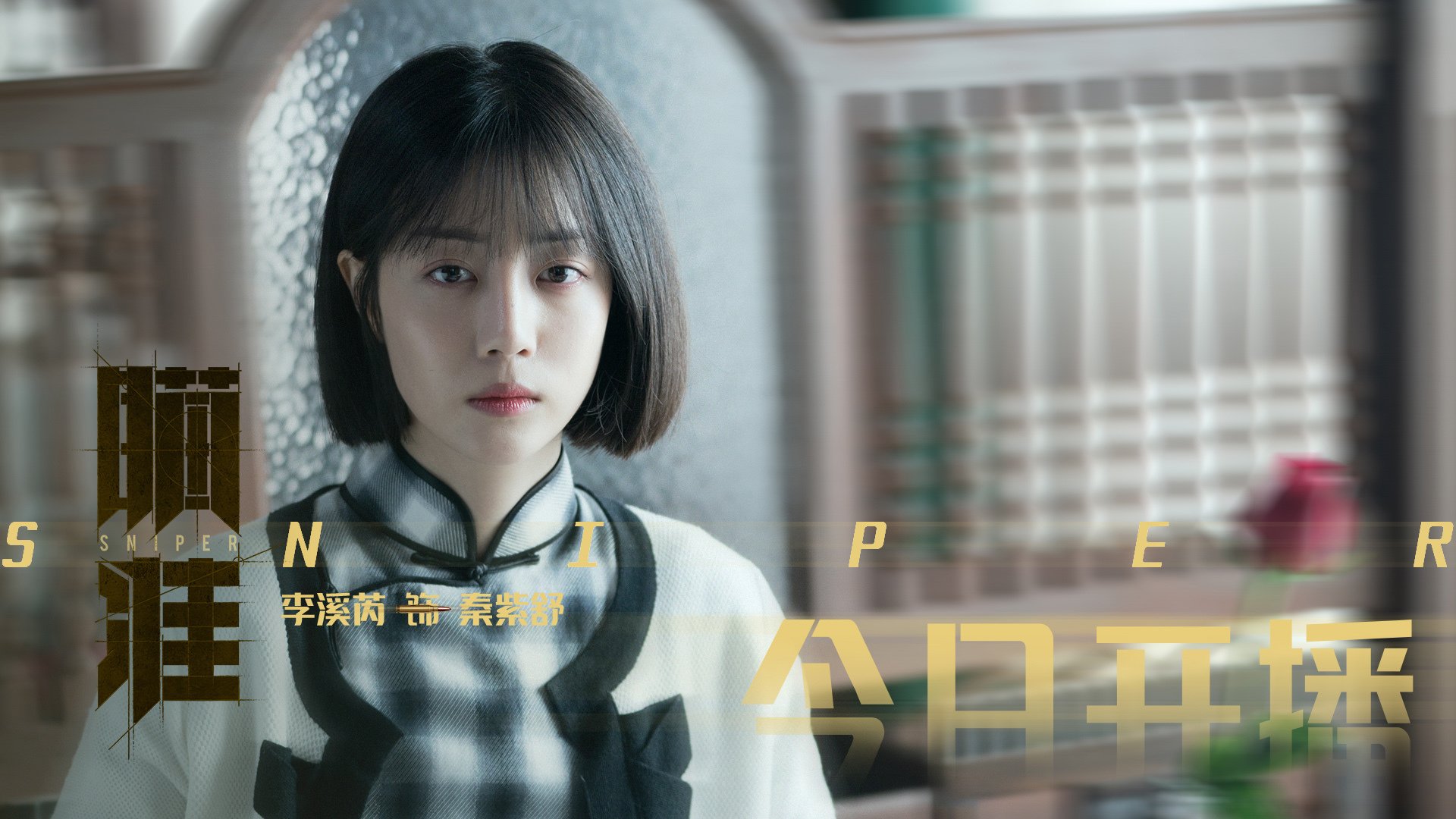 影子战争,加克波以沉默的艺术,在维也纳的轻取中完成终极接管