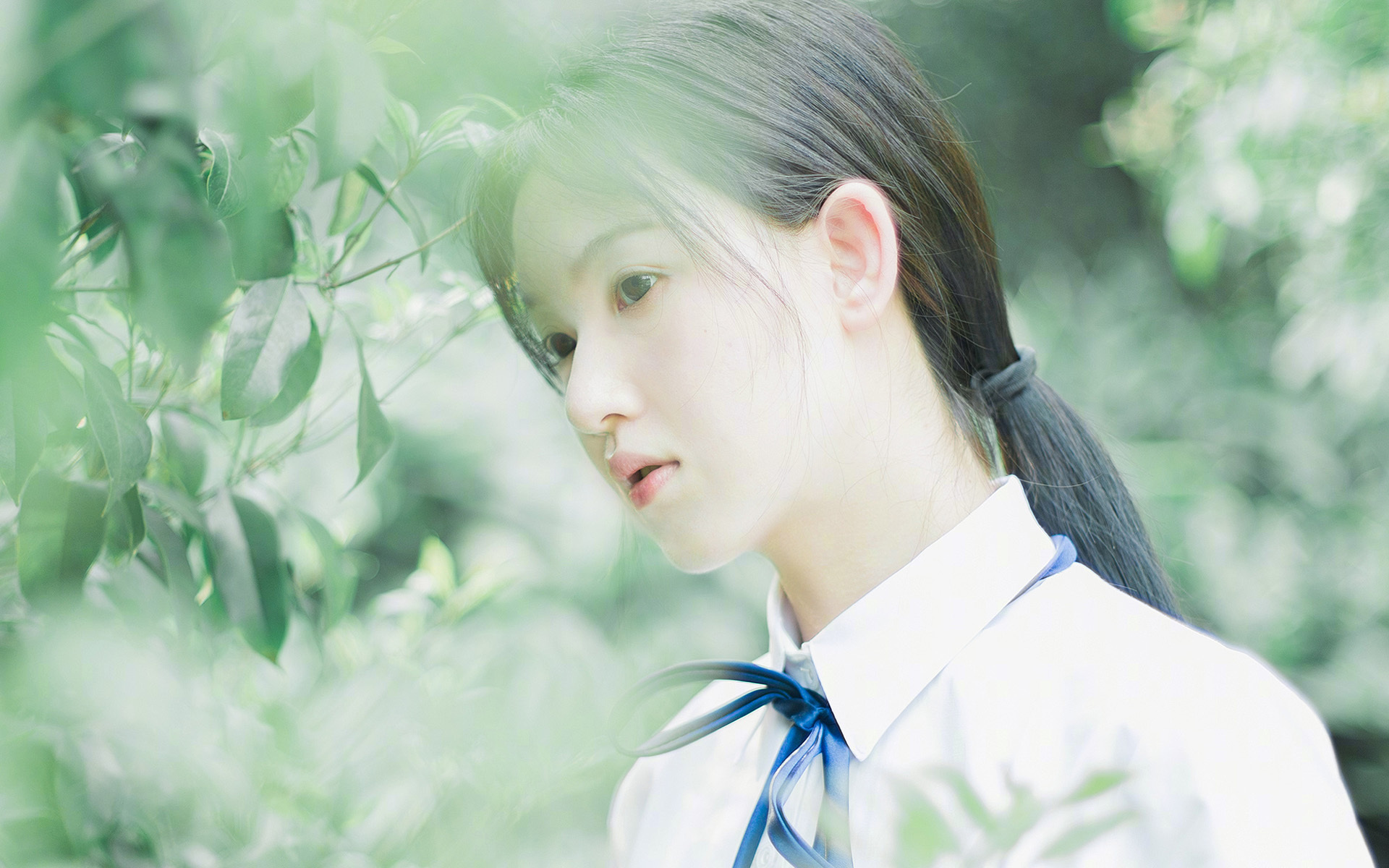 绿茵场与硬木地板的共鸣,当德甲争冠与活塞淘汰老鹰诠释同一竞技精神