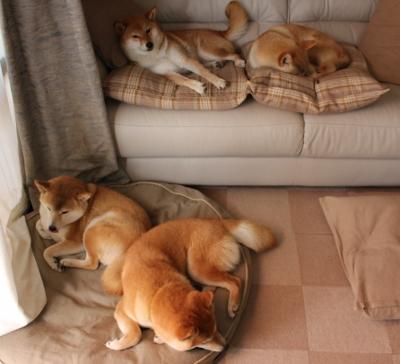 夜战双赛道，当巴林赛道呼啸声遇见黄喜灿的致命一击