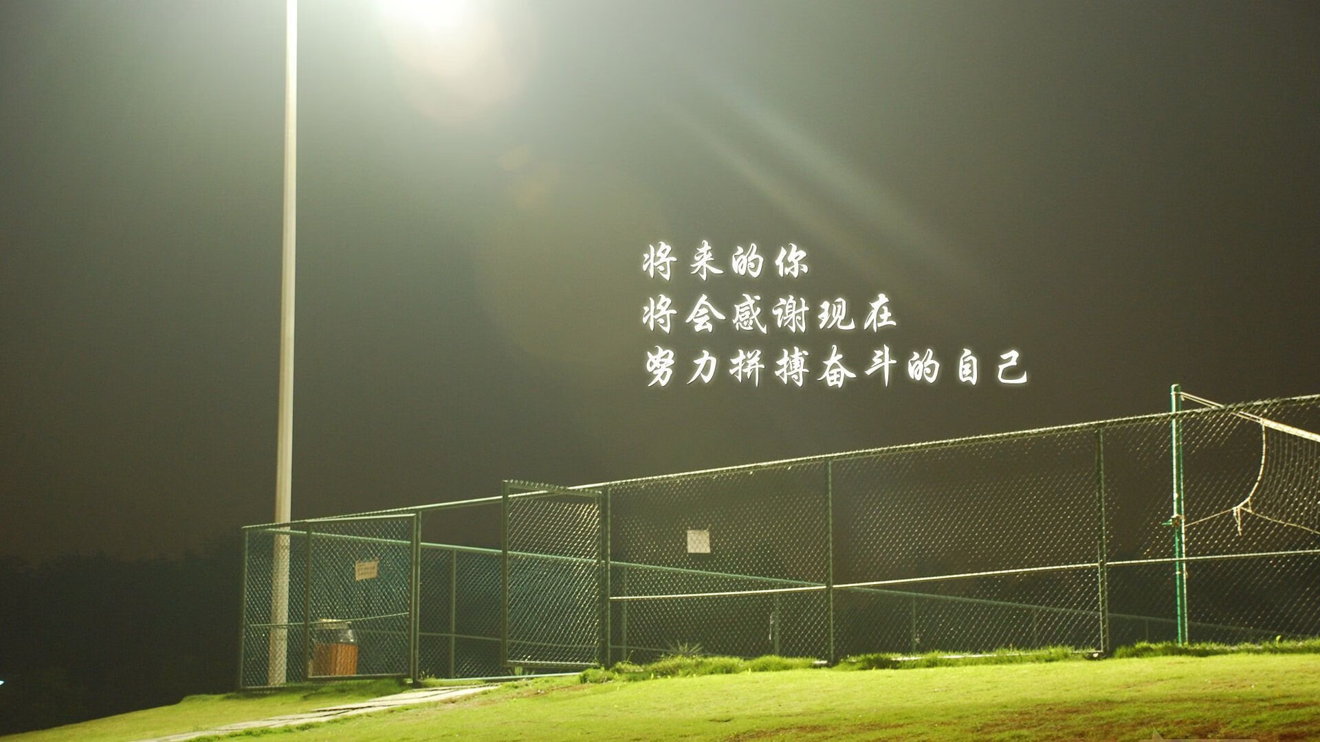 碾压与救赎，2026世界杯B组关键战，厄瓜多尔的高原风暴与姆巴佩的独舞